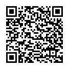 QR-код для подключения шаблона № 300